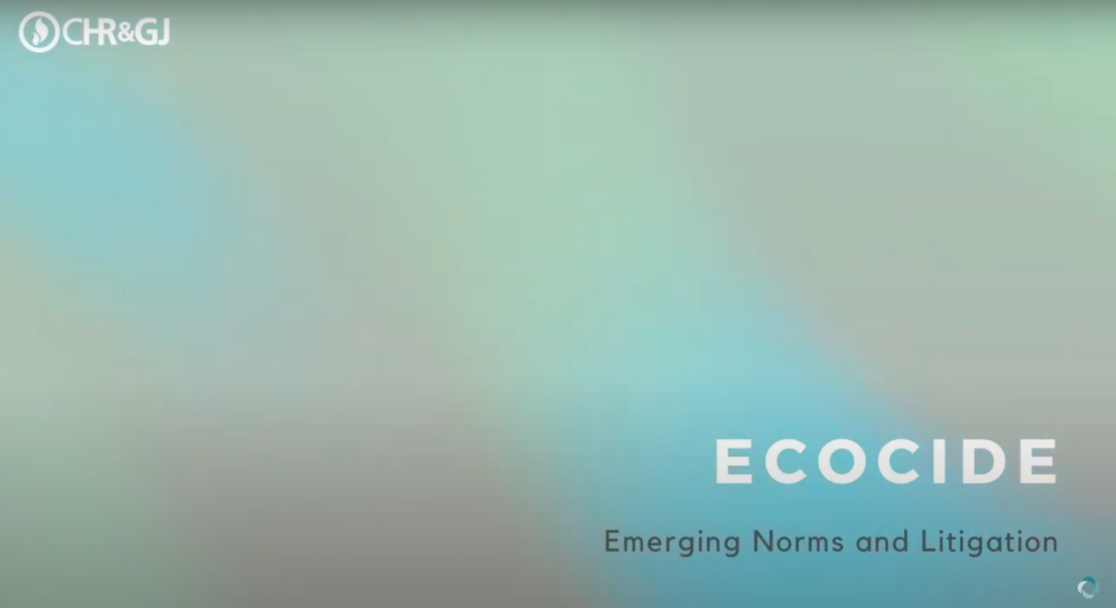 Ecocide: Emerging Norms and Litigation